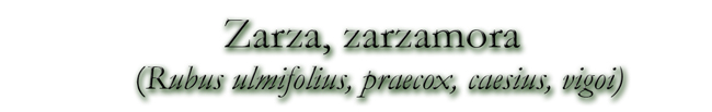 Zarza, zarzamora (Rubus ulmifolius, praecox, caesius, vigoi)